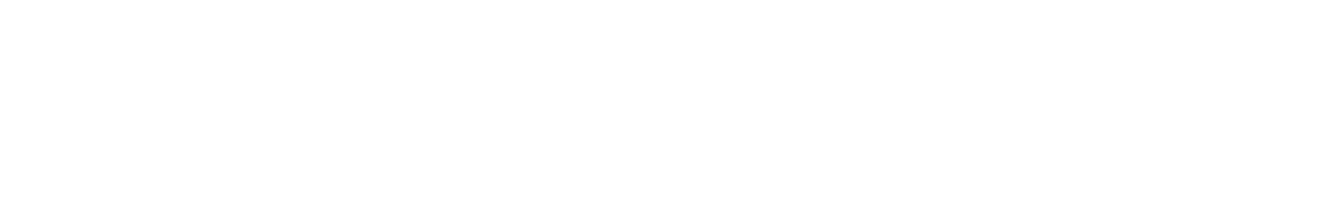 NEW-LOGO-SEPROS-WHITE.png