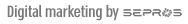 Digital marketing by Sepros
